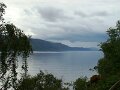 DSC00442