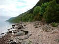 DSC00453