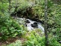 DSC00576