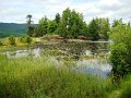 DSC00595