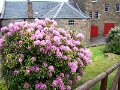 DSC00657