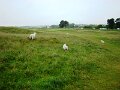 DSC00679
