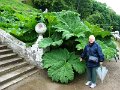 DSC00711