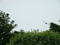 DSC00739