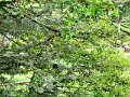DSC00768