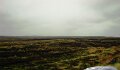 DSC00793