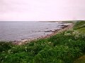 DSC00797