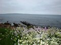 DSC00801