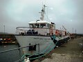 DSC00809