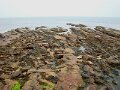 DSC00815