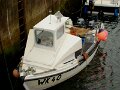 DSC00817