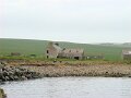 DSC00858