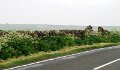 DSC00885