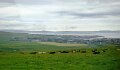 DSC00900