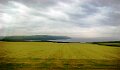 DSC00911