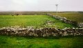 DSC00920