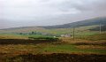 DSC00930