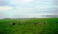 DSC00937