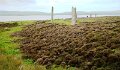 DSC01021