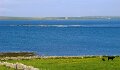 DSC01056