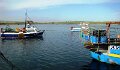 DSC01106