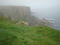 DSC02513