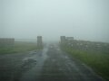 DSC02516