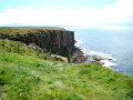 DSC02534