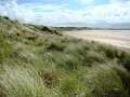 DSC02582