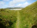 DSC02584