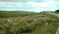 DSC02620