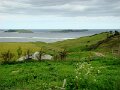 DSC02674