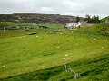 DSC02683