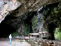 DSC02781