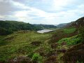DSC02853