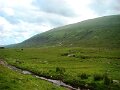 DSC02961