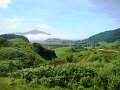 DSC03015