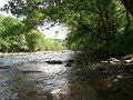 DSC03081