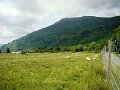 DSC03084