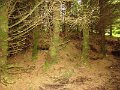 DSC03159