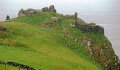 DSC03194