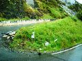 DSC03218