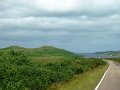 DSC03230