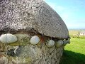 DSC03306