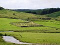 DSC03335
