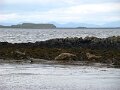 DSC03379