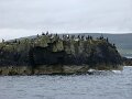 DSC03393