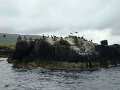 DSC03394