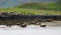 DSC03397