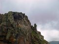 DSC03406